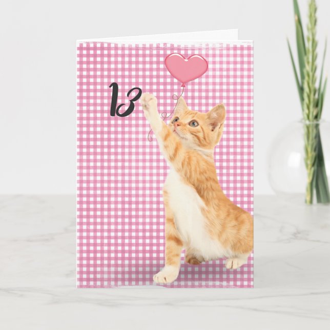 13th birthday tabby cat card (Front)