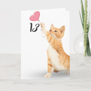 13th birthday tabby cat card