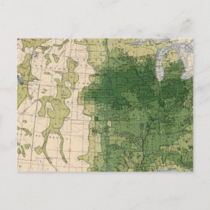 146 Swine/sq mile Postcard