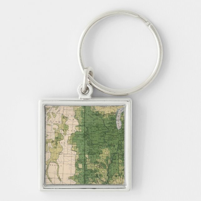 149 Horses, mules, asses/sq mile Key Ring (Front)