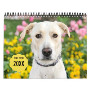14 Photo Full Coverage - Modern Personalised Calen Calendar