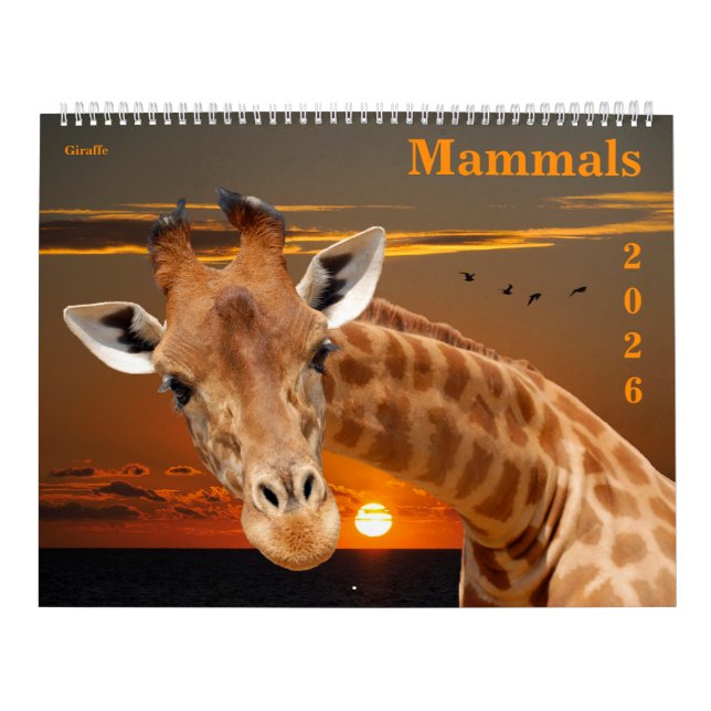 14 photos of mammals calendar (Cover)