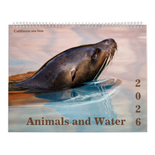 14 photos os animals and water calendar