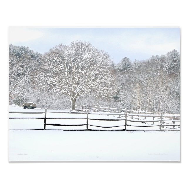 14 x 11  Walden Woods Project Farm Photo Print (Front)