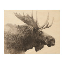 14" x 11" Woodsy Rustic Brown Moose