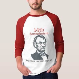 14th Amendment 2 T-Shirt