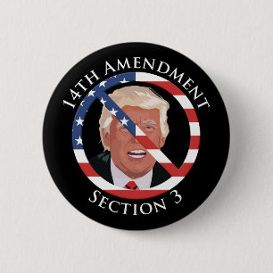14th Amendment Anti-Trump 6 Cm Round Badge