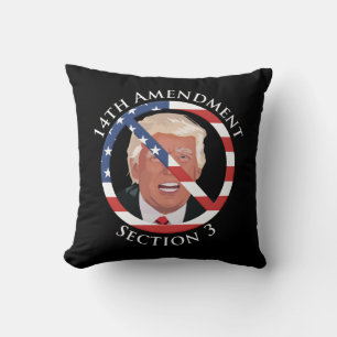 14th Amendment Anti-Trump Cushion