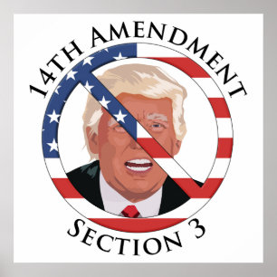 14th Amendment Anti-Trump Poster