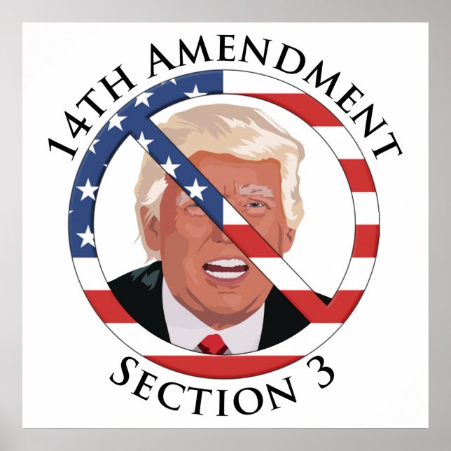 14th Amendment Anti-Trump Poster (Front)