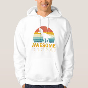 14th Birthday Dinosaur 14 Year Old Boy Awesome Sin Hoodie