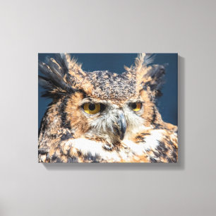 14x11 Great Horned Owl Portrait Canvas Print