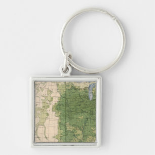 154 Corn/sq mile Key Ring