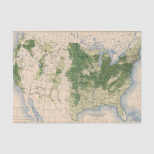 156 Wheat/sq mile Tissue Paper