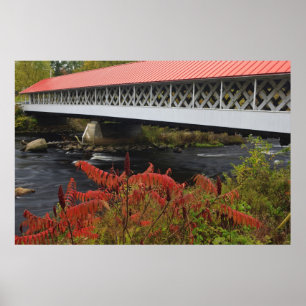 159-foot Ashuelot Covered bridge spanning Poster