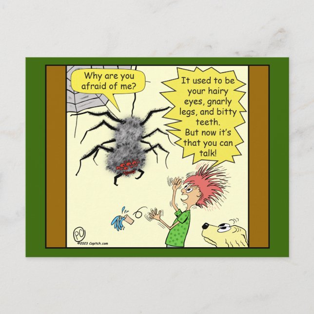 1605 Afraid Of Spiders Cartoon Postcard (Front)