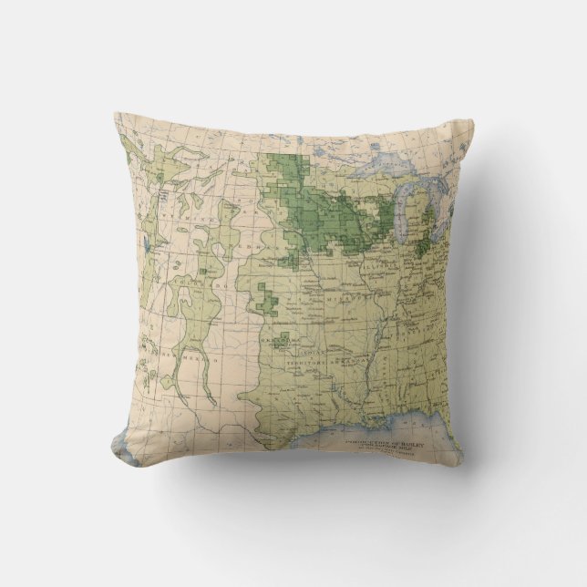 161 Barley/sq mile Cushion (Front)