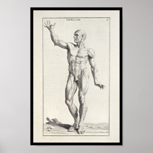 1691 Artistic Anatomy Muscles Body Art Print