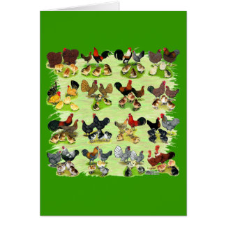 16 Chicken Families