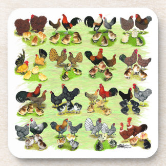16 Chicken Families Coaster