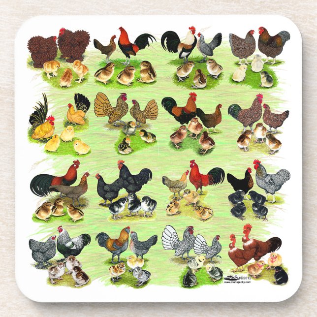 16 Chicken Families Coaster (Front)