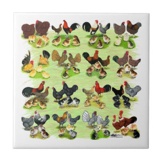 16 Chicken Families Tile