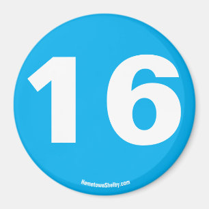 16 magnet