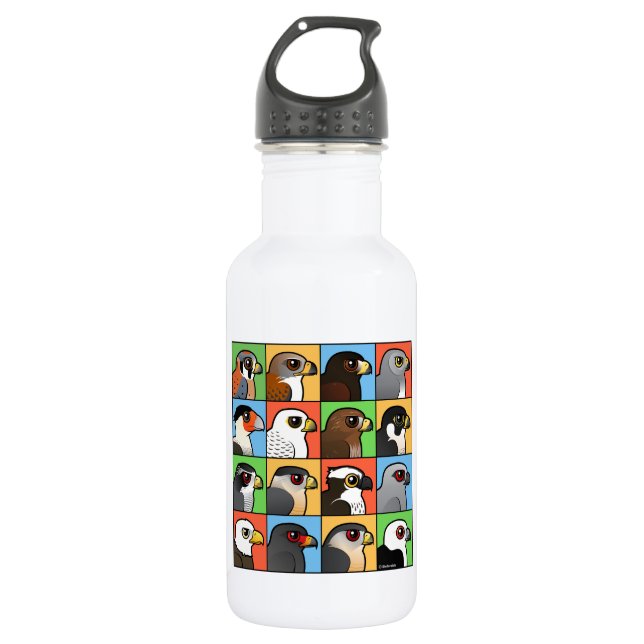 16 North American Raptor Profiles 532 Ml Water Bottle (Front)