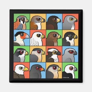 16 North American Raptor Profiles Magnet