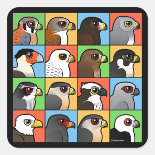 16 North American Raptor Profiles Square Sticker