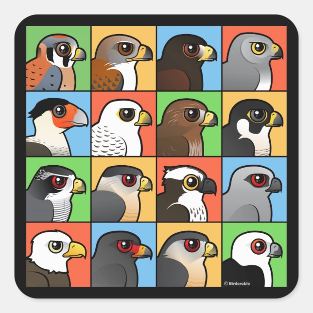16 North American Raptor Profiles Square Sticker (Front)