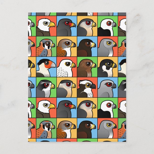 16 North American Raptor Profiles (tiled) Postcard (Front)