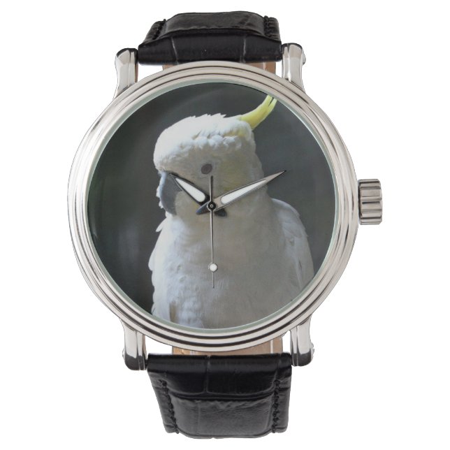 16  WATCH parrot (Front)