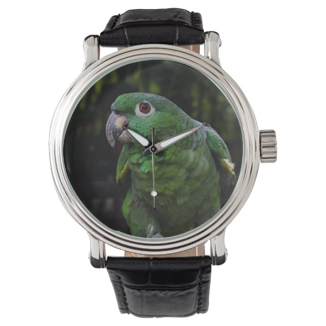 16  WATCH parrot (Front)