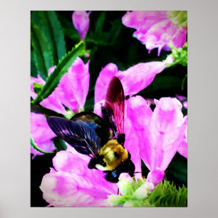 16" x 20" poster (semi-gloss)Bee's Eyes Collection