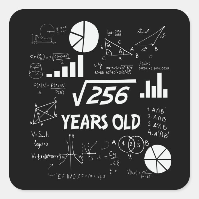 16 Year Old Bday Geeky Math 16th birthday Gift Square Sticker (Front)