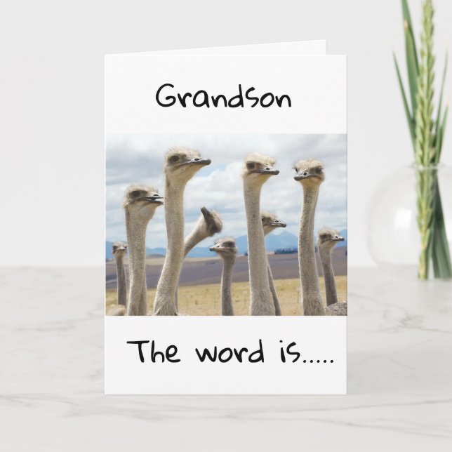 **16** YOU ARE NOW A TEENAGER **GRANDSON** CARD (Front)