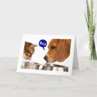 16th BIRTHDAY-NEW DRIVER HUMOR