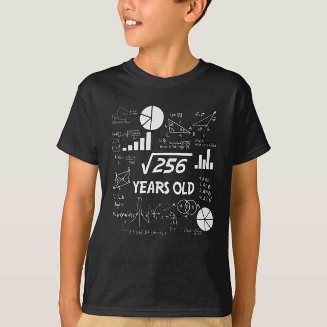 16th Birthday Square Root Math 16 Years Old Bday T-Shirt (Front)