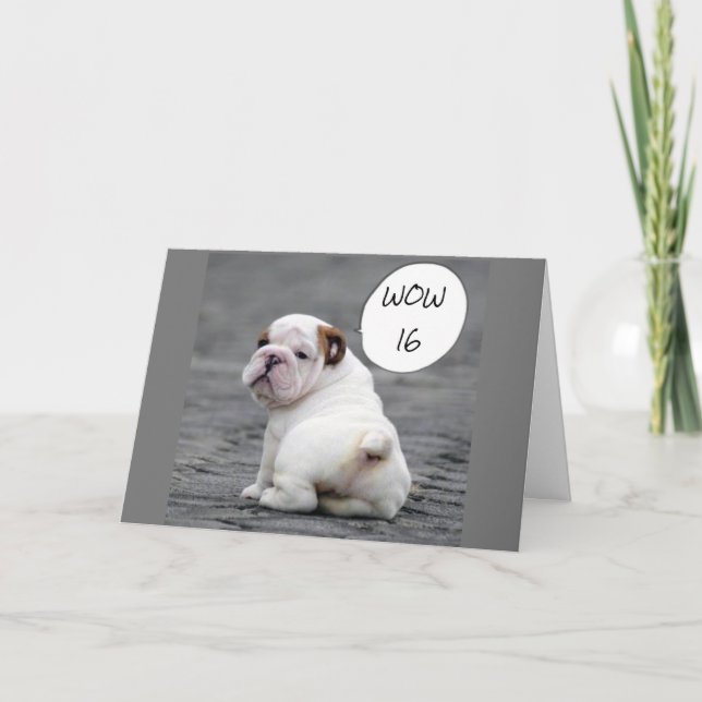 **16th BRITHDAY SAYS BULLDOG*** Card (Front)