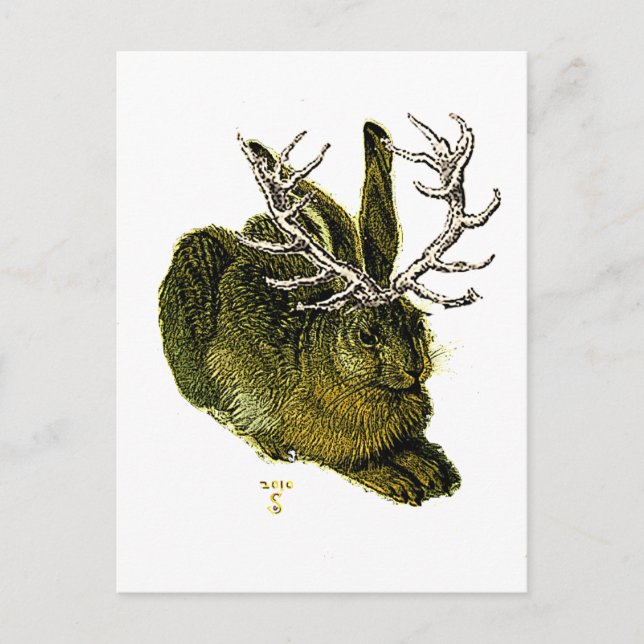 16th century Jackalope Postcard (Front)