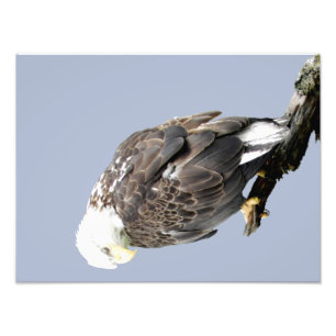 16x12 Kodak Professional Photo Paper (Satin) Print
