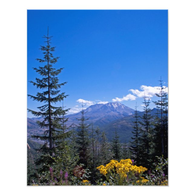 16x20 Mount St Helens Photo Print (Front)