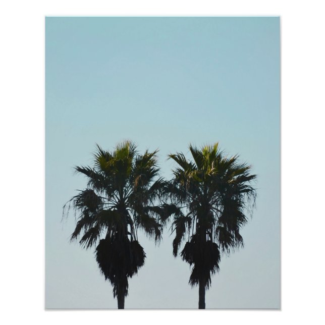 16x20 Summer Palm Trees Photo Print (Front)