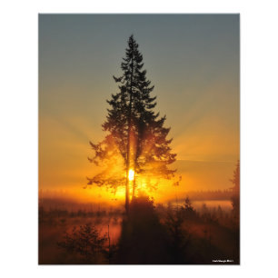 16X20 Sunrise in the Great Northwest Photo Print