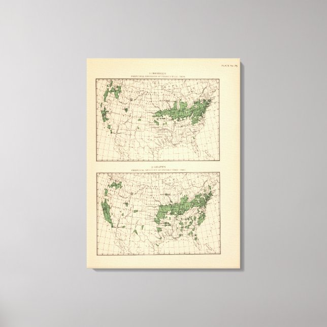 175 Cherries, grapes, principal regions Canvas Print (Front)