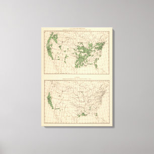 177 Plums, prunes, figs, principal regions Canvas Print