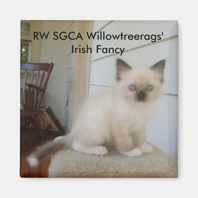 178, RW SGCA Willowtreerags'  Irish Fancy Magnet (Front)