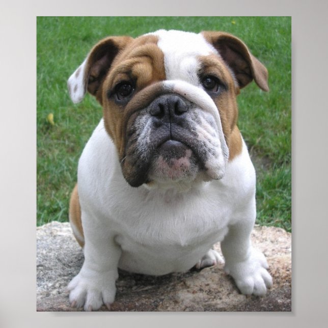 17/9/05 003 POSTER (Front)