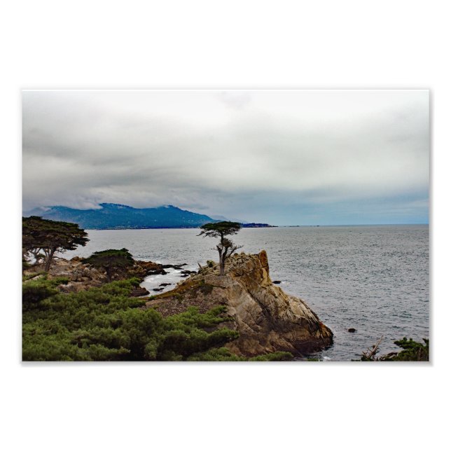 17 Mile Drive Photo Print (Front)